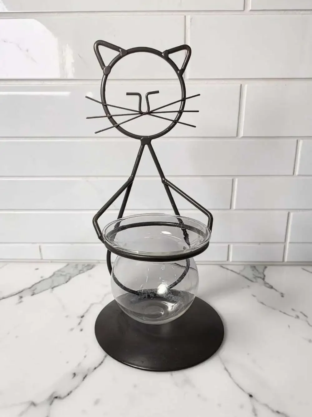 EatingBiting metal cat